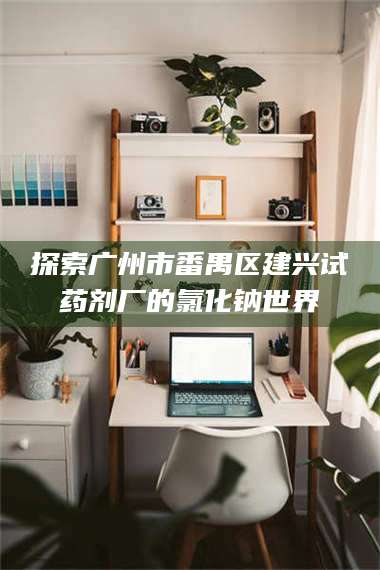 吉林探索广州市番禺区建兴试药剂厂的氯化钠世界 第1张